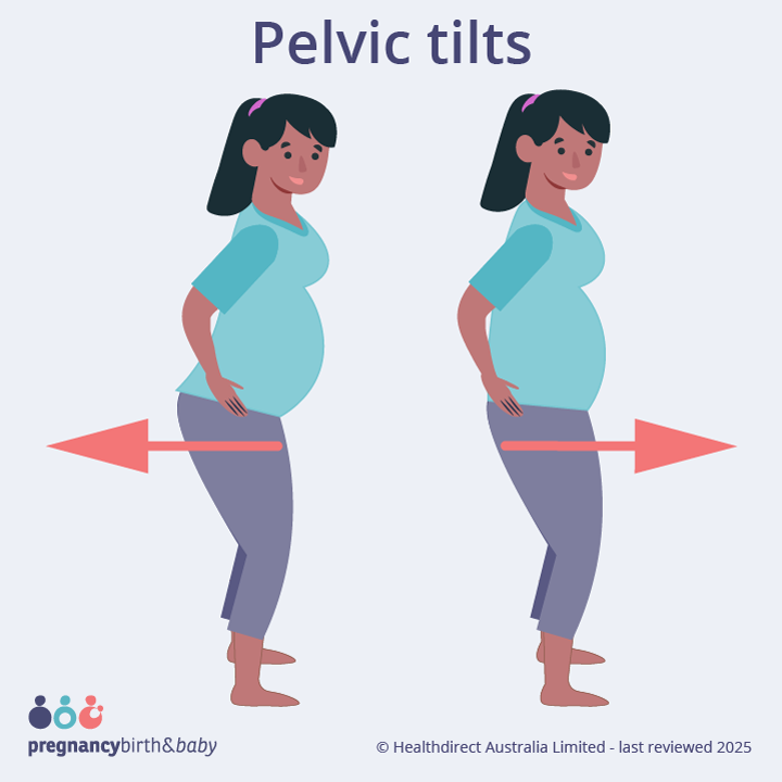 Illustration of a pregnant person doing pelvic tilts